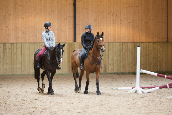 Equitation / Reiten 2